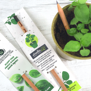 Plant A Pencil Jas Trading